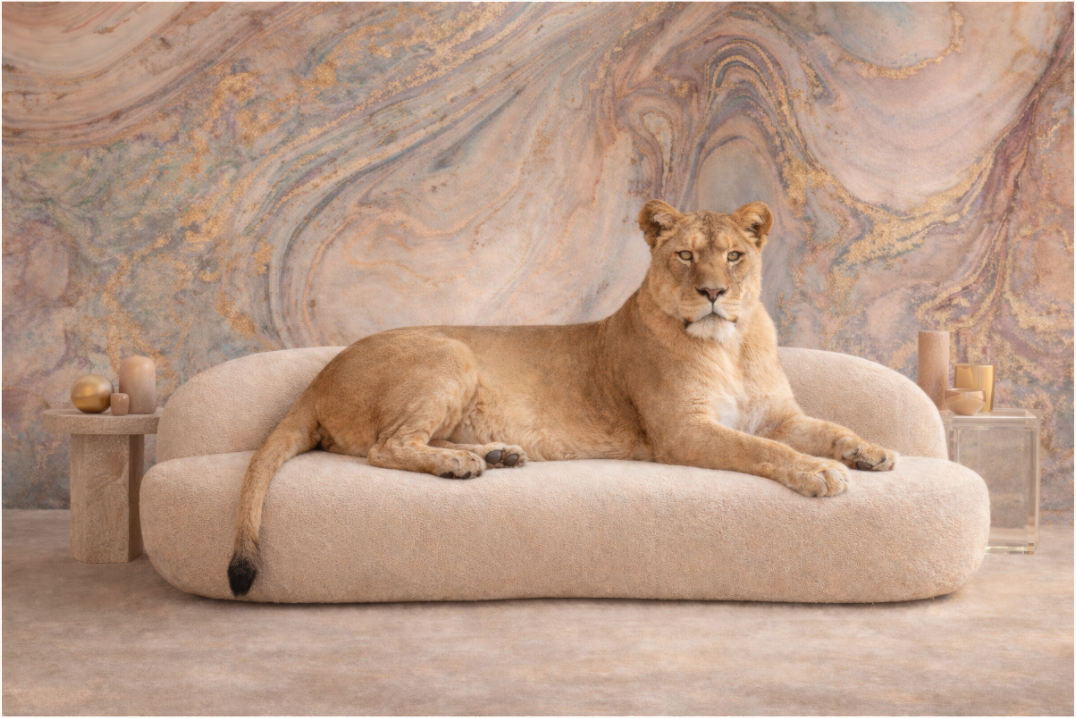 Main image Silent Leadership