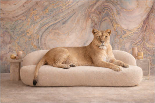 Main image Silent Leadership