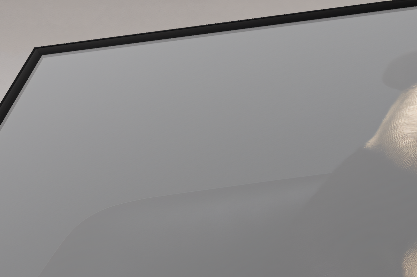 Fußnote im Bambuswald