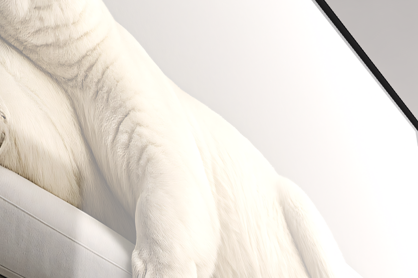 Eisgeboren – am Rande des Schmelzens