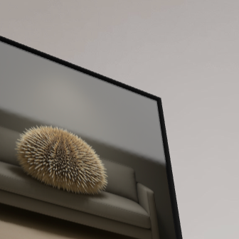 Westindischer Seeigel