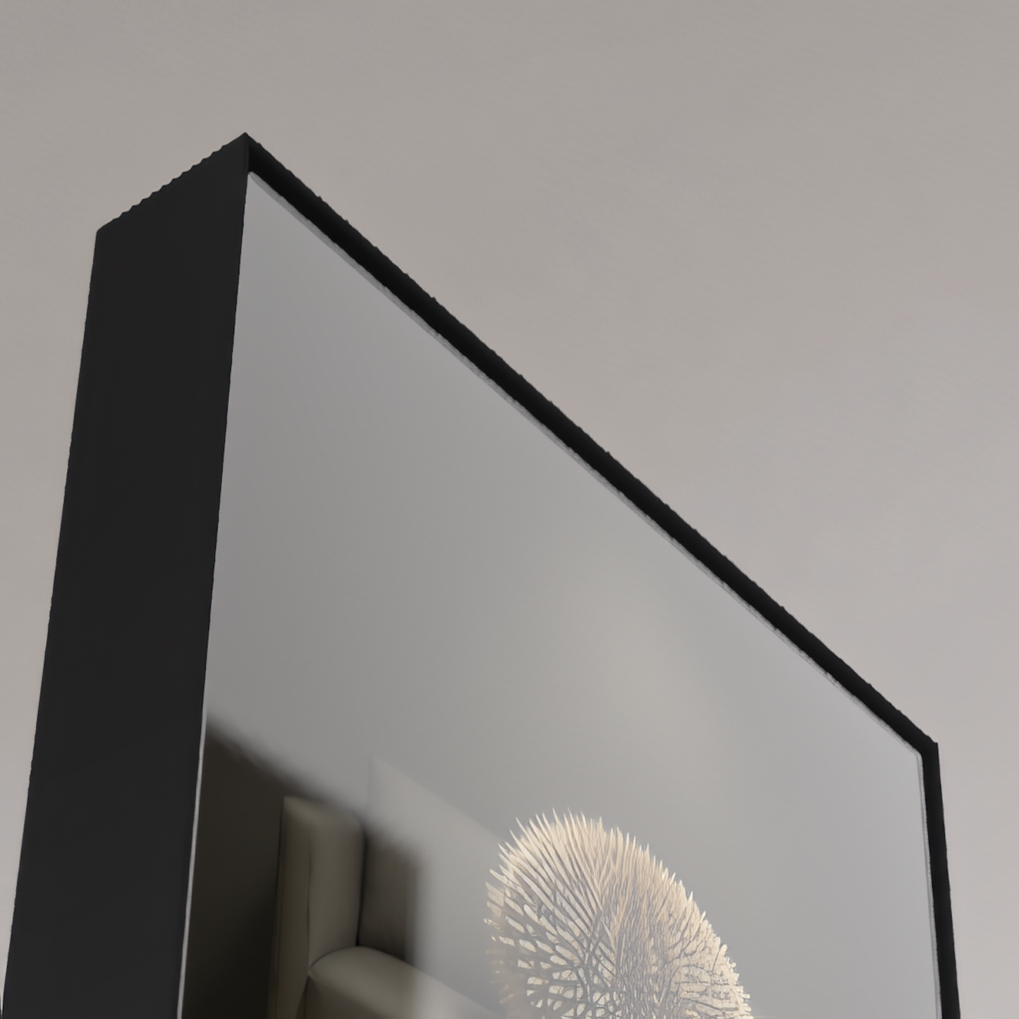 Westindischer Seeigel