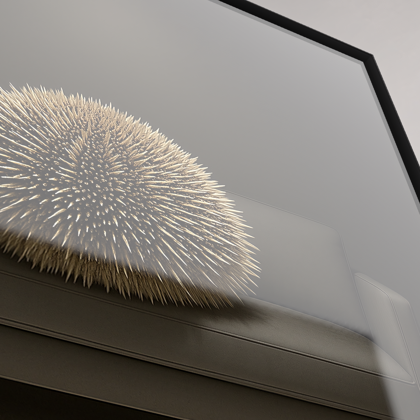 Westindischer Seeigel