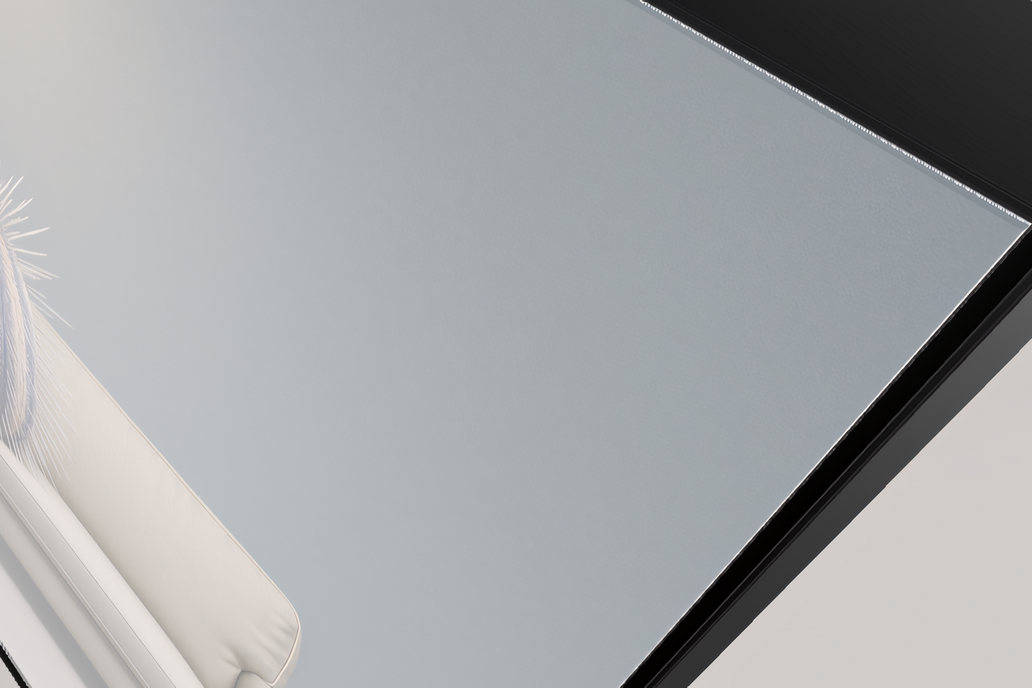 Antarktischer Tiefsee-Seeigel