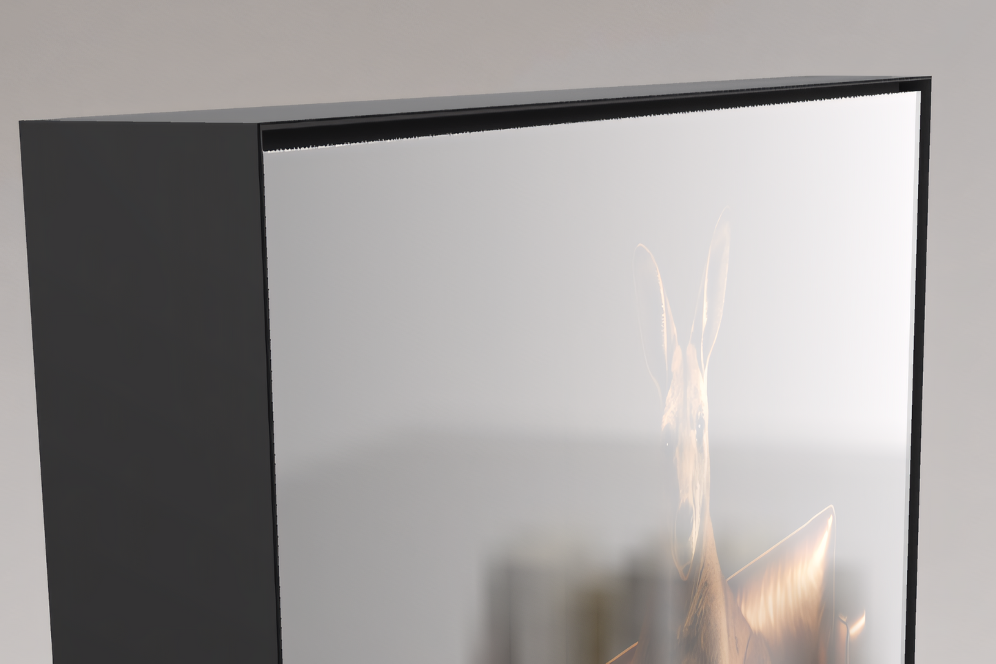 Ein Kontinent, zwei Schicksale - Känguru