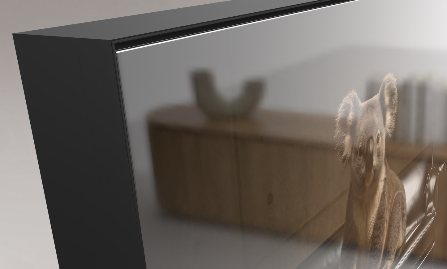 Ein Kontinent, zwei Schicksale - Koala