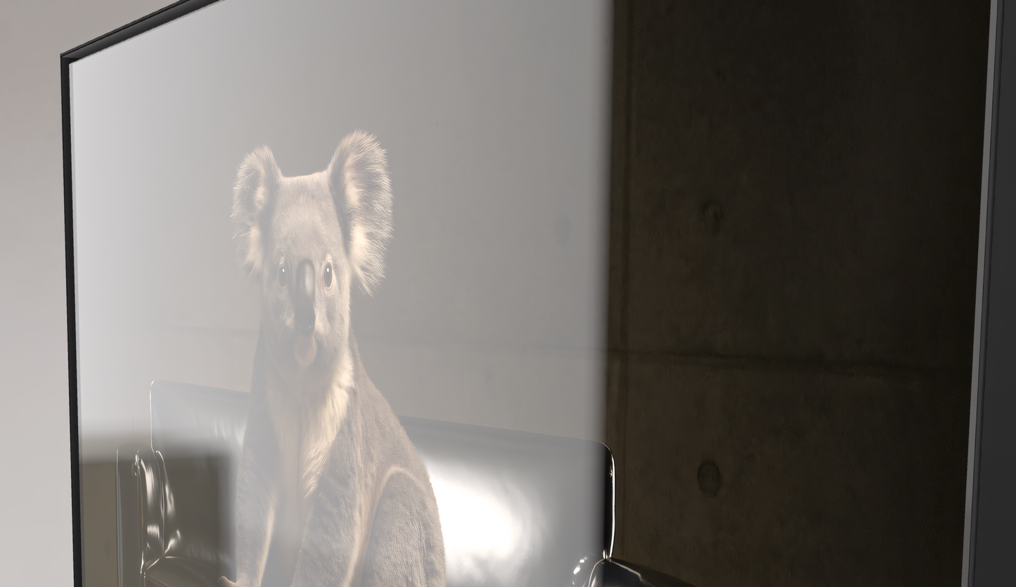 Ein Kontinent, zwei Schicksale - Koala