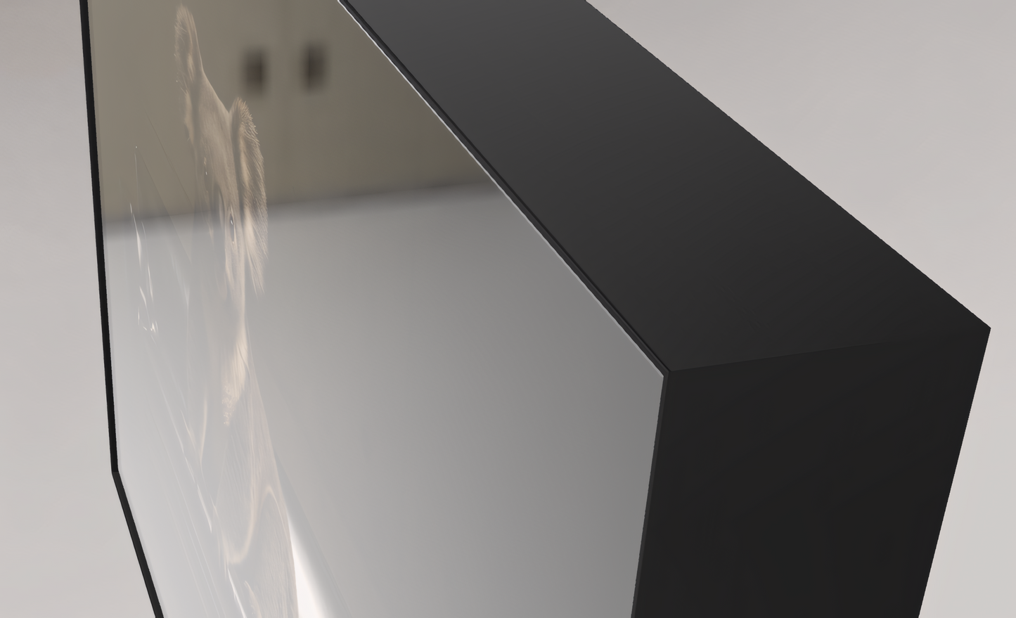 Ein Kontinent, zwei Schicksale - Koala