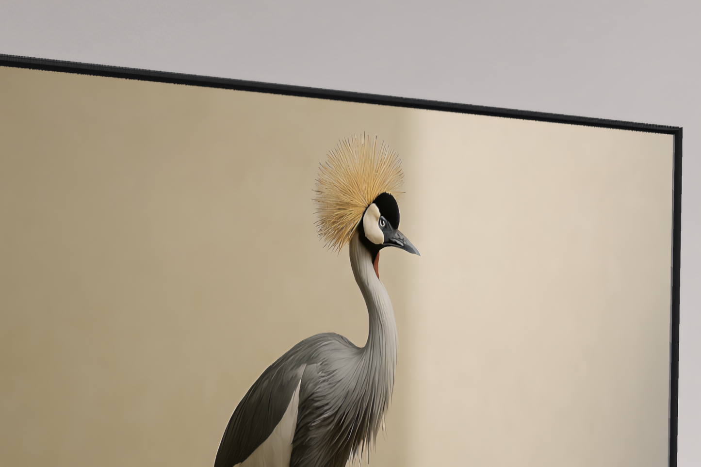 Verlorene Weite – Kronenkranich