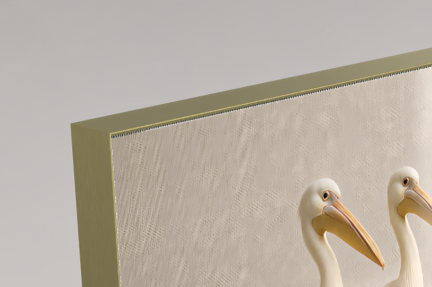 Drei Meter Stille – Der weiße Pelikan