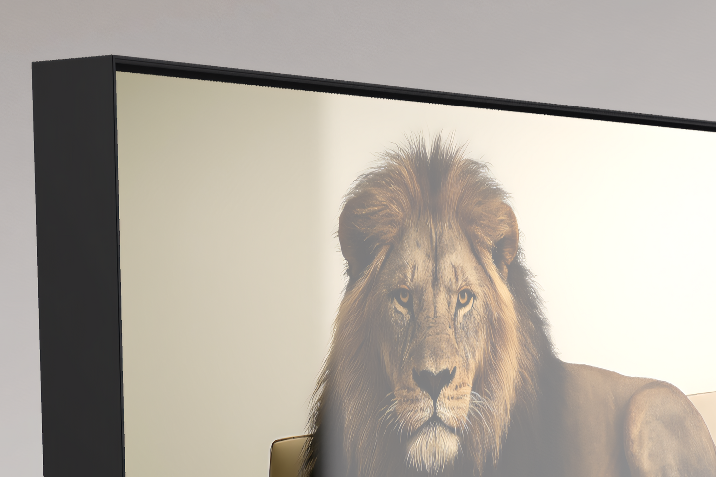 Majestät unter Druck – Der schwarze Löwe der Kalahari