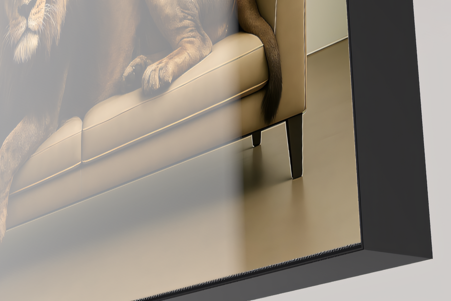 Majestät unter Druck – Der schwarze Löwe der Kalahari