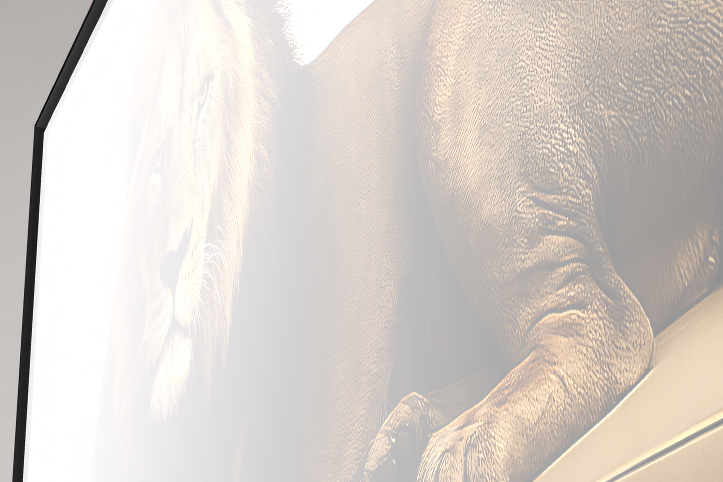 Majestät unter Druck – Der schwarze Löwe der Kalahari