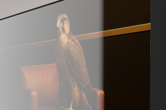 Wüstenlinien - Saker Falke