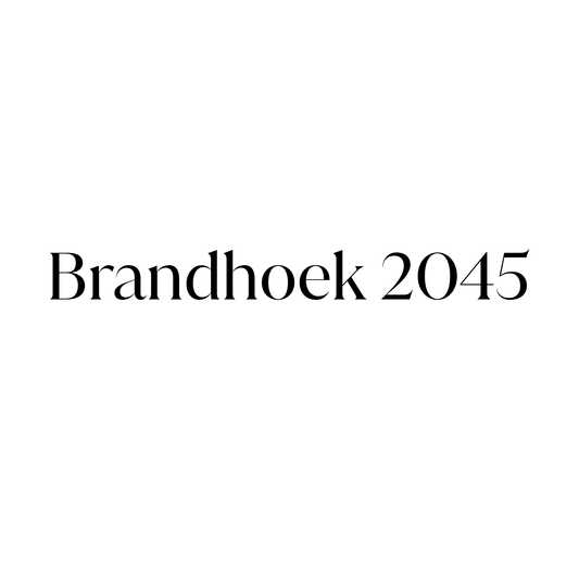 Brandhoek 2045 - Werk 1 ᛫ vertraulich