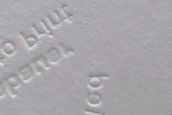 Die Flamingo- Balance