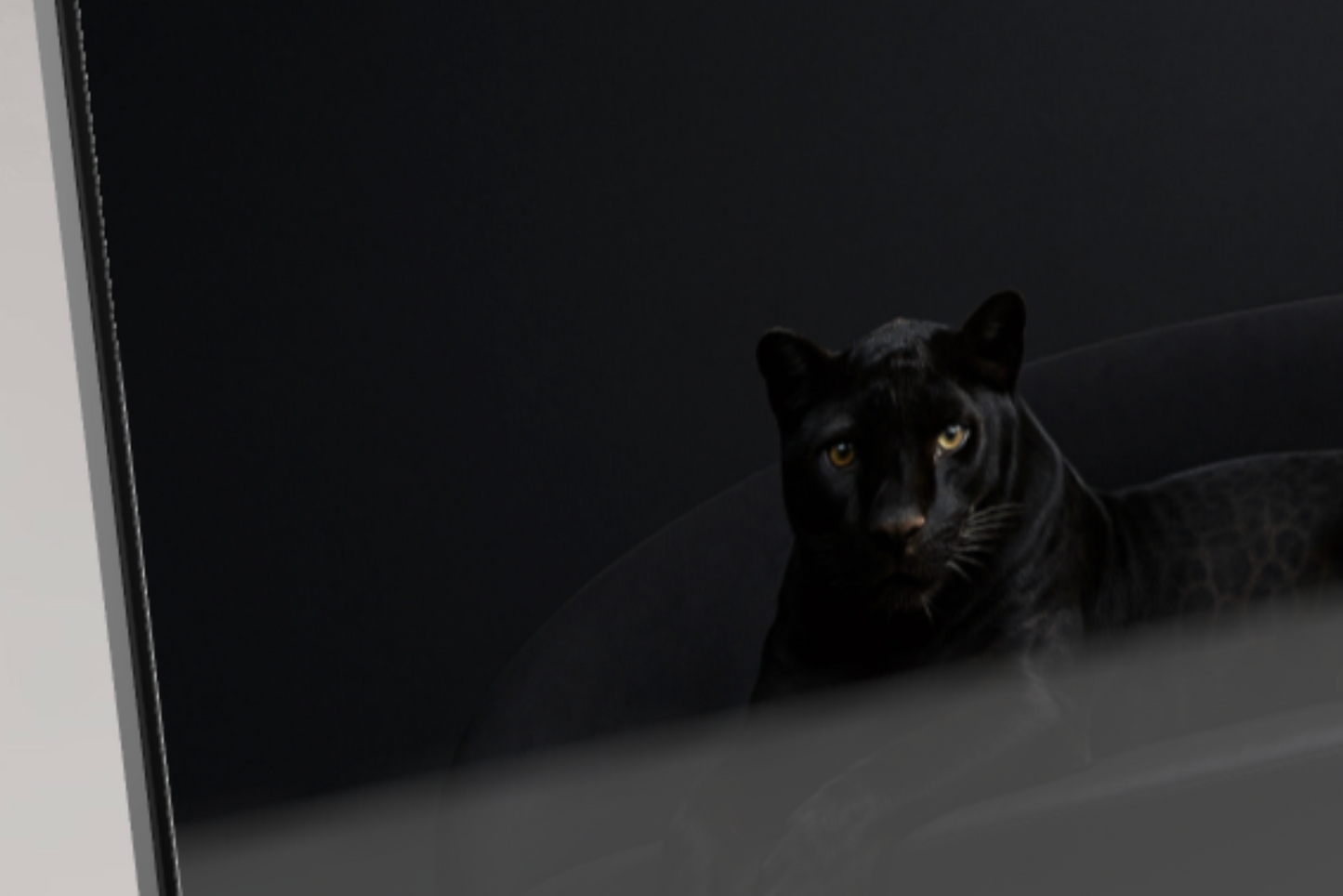 Black Spirit of the Forests