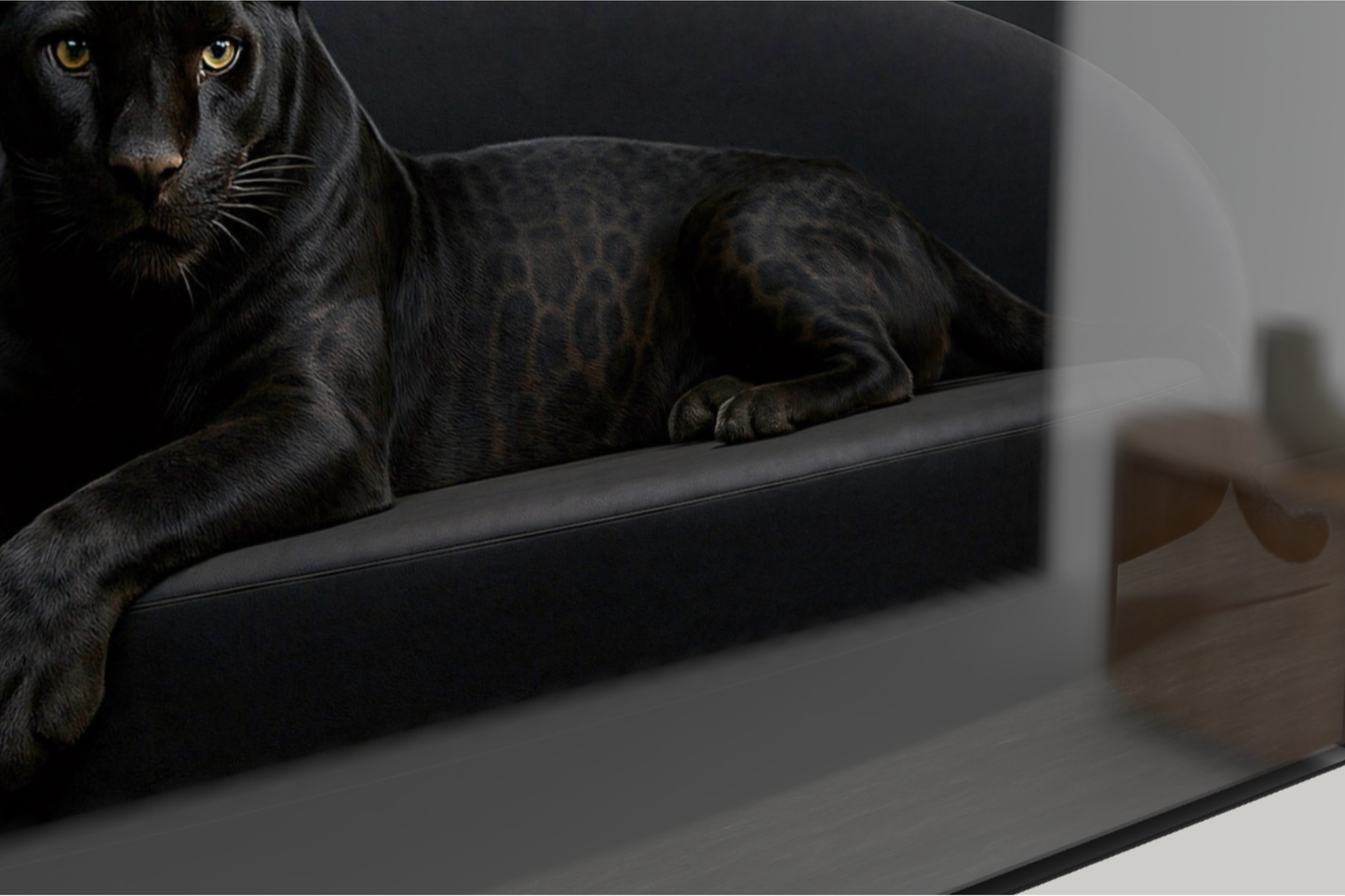 Black Spirit of the Forests