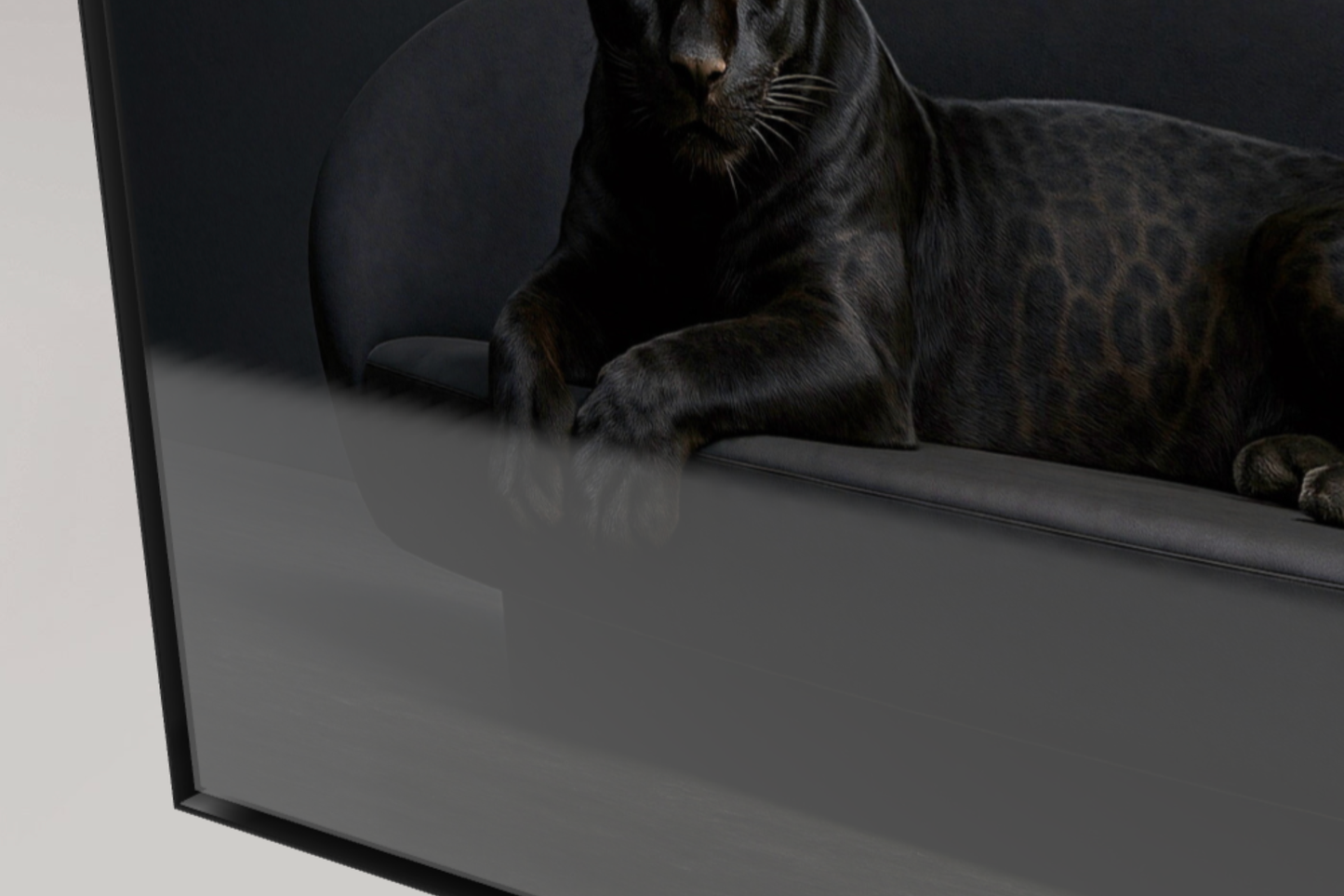 Black Spirit of the Forests