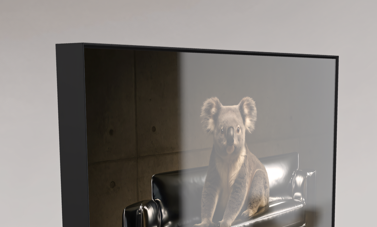 Ein Kontinent, zwei Schicksale - Koala