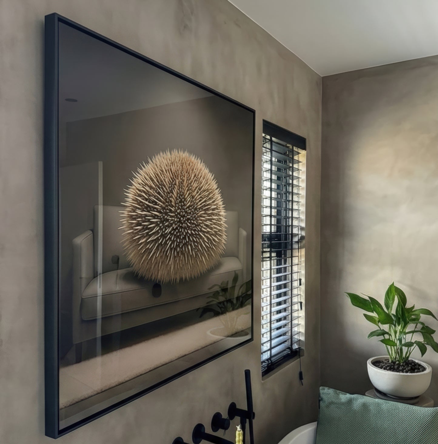 Westindischer Seeigel