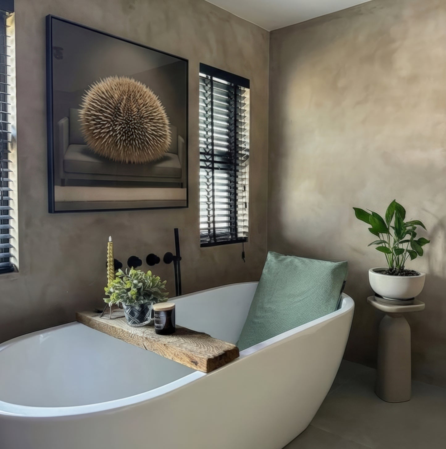 Westindischer Seeigel