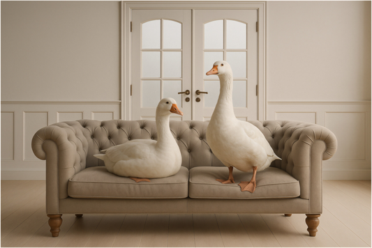 Main image Unerschrocken