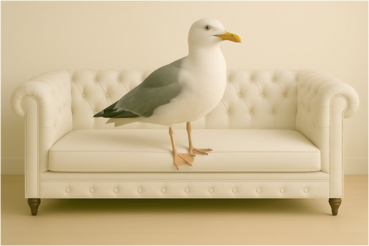 Main image Wenn das Meer ruft